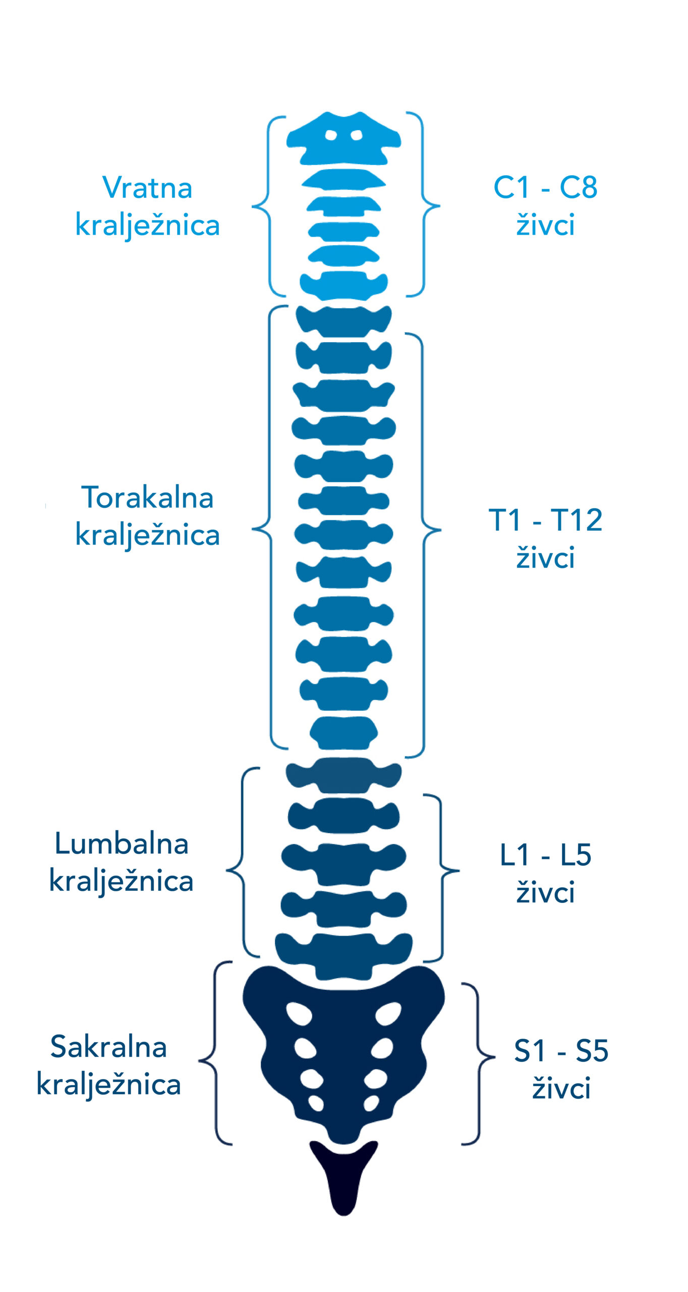 asset-1-scaled_1.jpg